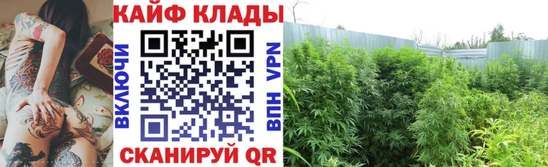 Наркота Нахабино Псилоцибиновые грибы Меф ГАШИШ Конопля