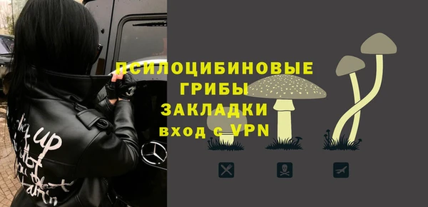 стафф Бронницы