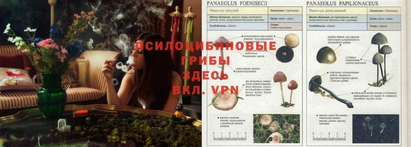 хмурый Верхнеуральск